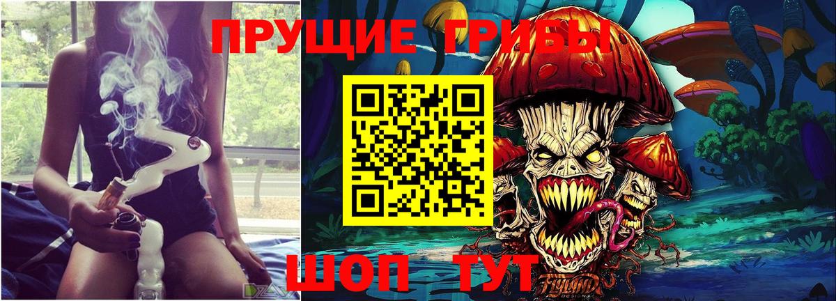 Чернушка  Галлюциногенные грибы Psilocybe  Вход с VPN  Галлюциногенные грибы Cubensis 